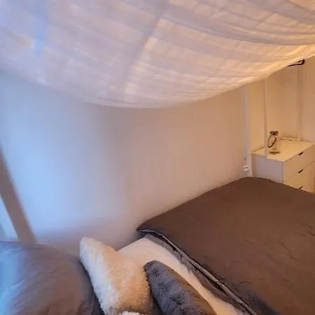 Mickey Old Town Daire